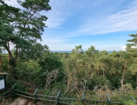 Wieża ornitologiczna na Górze Pirata