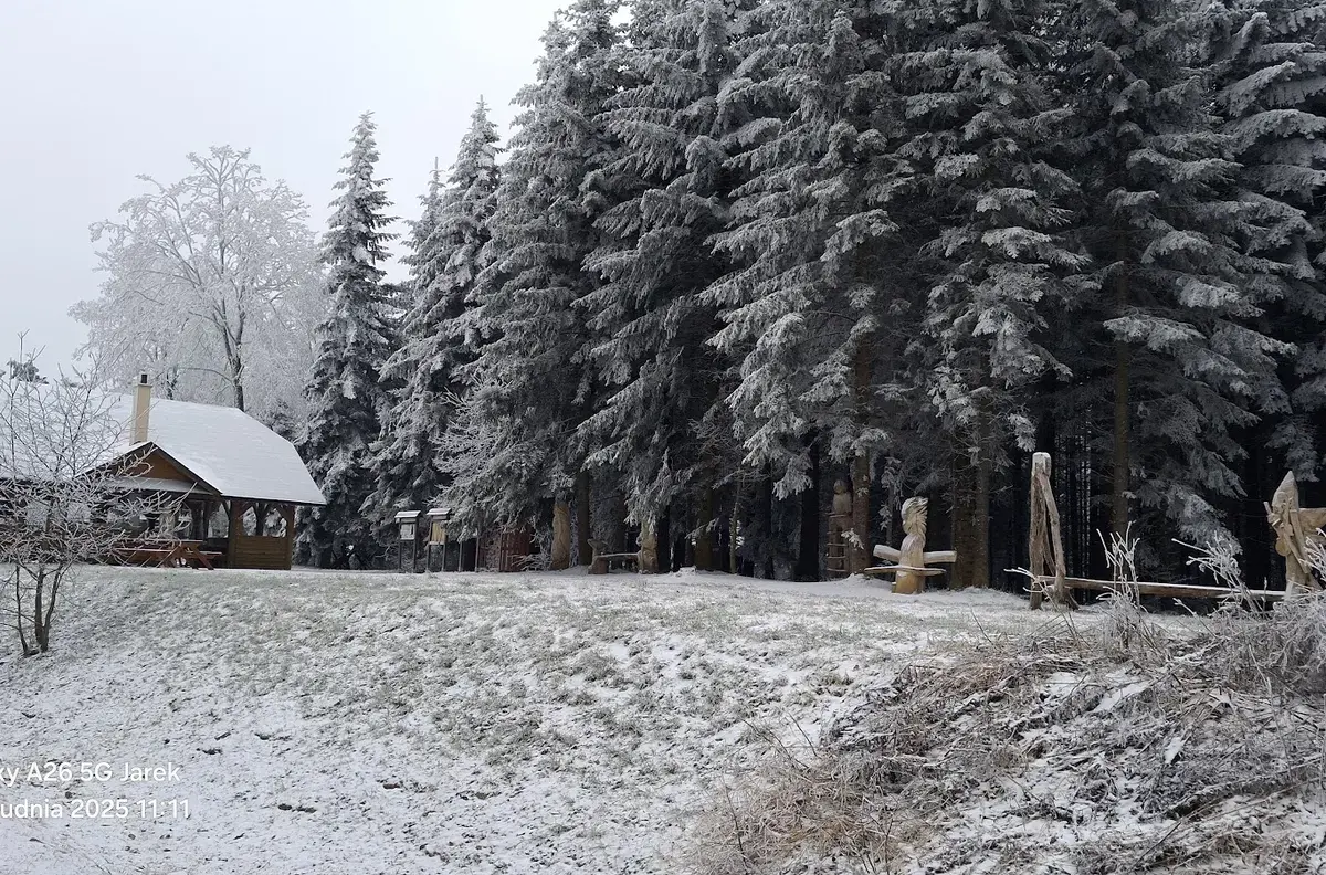 Wieża Widokowa na Holicy