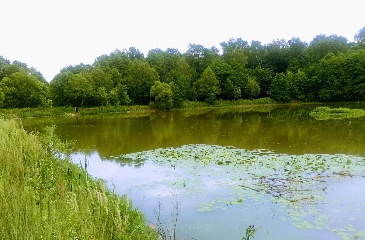 Park Zwierzyniec