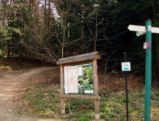 Wodospad w Iwoniczu-Zdroju (Krótki szlak kuracyjny – Iwonicz)