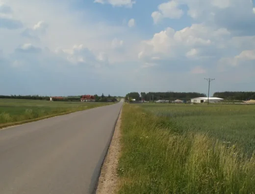 Wola Wiśniowa