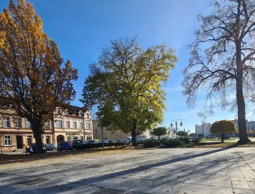 Zabytkowy Rynek w Kruszwicy