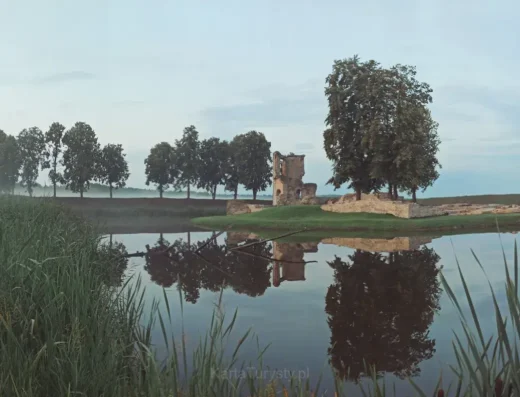 Zamek w Ćmielowie