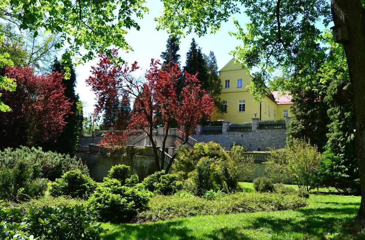 Zamek w Rogowie Opolskim (3)