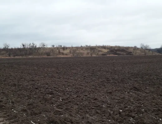 Zaodrzańska Kopa