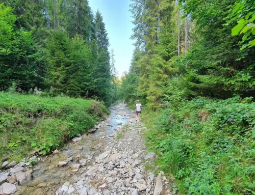 Zaskalskie-Bodnarówka Nature Reserve