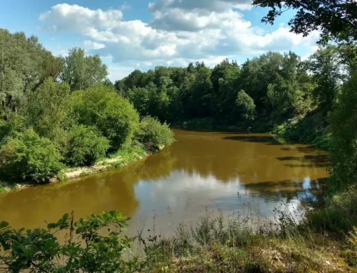 Zespół Lubelskich Parków Krajobrazowych Oddział w Janowie Podlaskim