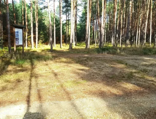 Zespół przyrodniczo-krajobrazowy ,,Mostki” (2)