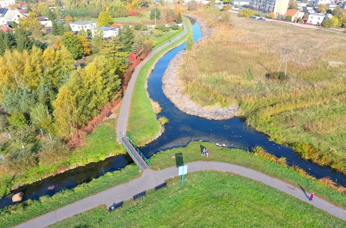 Crossing rivers – the bifurcation
