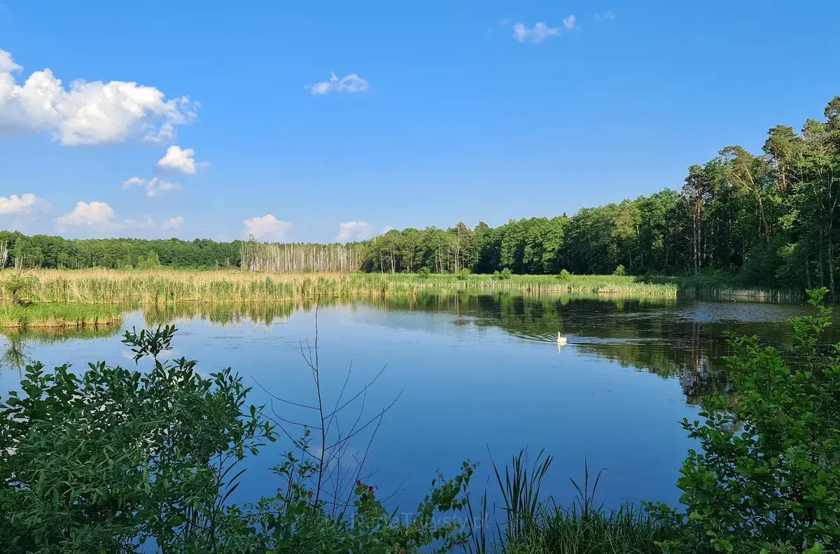 Kozienice Landscape Park