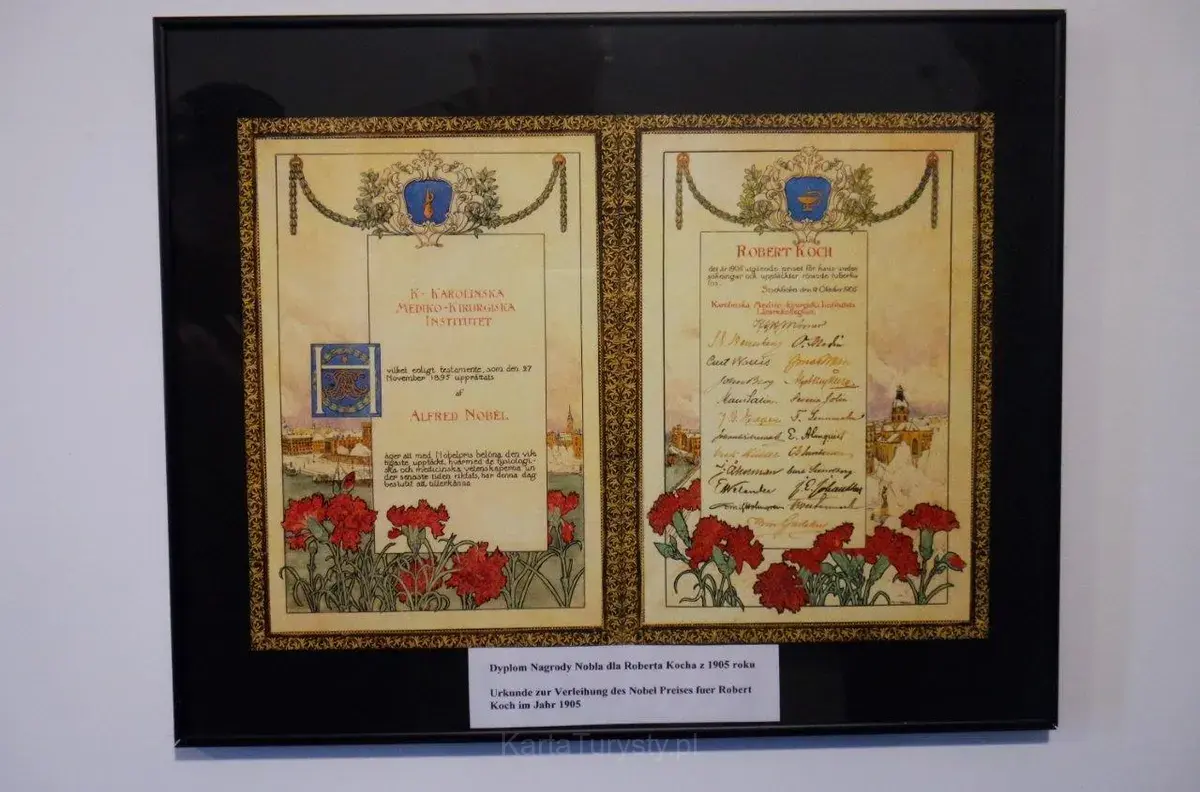Muzeum dr. Roberta Kocha – Oddział Muzeum Regionalnego w Wolsztynie