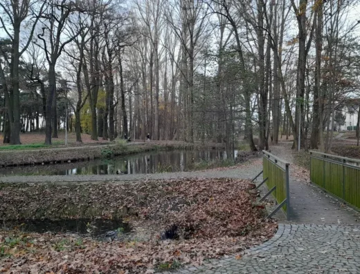 Park „Szubianki”