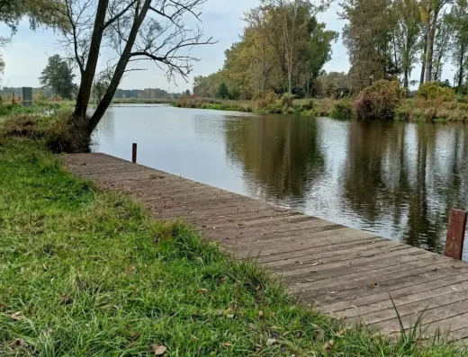 Pomost