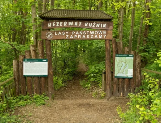 Rezerwat Przyrody Kuźnik